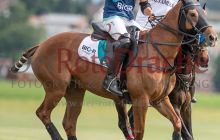 0008-Kathrin_Gralla-Graeff_Cup 