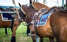 0158-Kathrin_Gralla-Graeff_Cup 