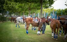 0182-Kathrin_Gralla-Graeff_Cup 