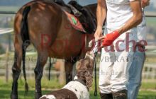 0070-Kathrin_Gralla-Vecinos_Cup_2021 