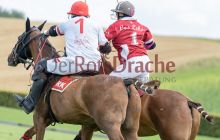 0111-Kathrin_Gralla-Gold_Cup_2021 