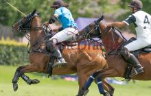 0239-Kathrin_Gralla-Gold_Cup_2021 