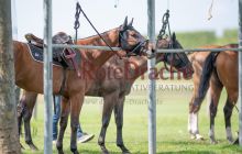 0285-Kathrin_Gralla-Gold_Cup_2021 