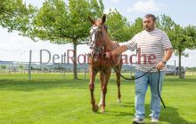 0337-Kathrin_Gralla-Gold_Cup_2021 