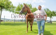 0338-Kathrin_Gralla-Gold_Cup_2021 