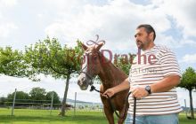 0340-Kathrin_Gralla-Gold_Cup_2021 