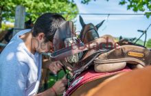 0006-Kathrin_Gralla-PPZ_Cup_2021 