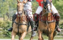 0052-Kathrin_Gralla-PPZ_Cup_2021 