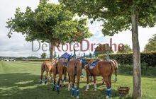 0086-Kathrin_Gralla-PPZ_Cup_2021 