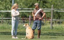 0013-Kathrin_Gralla-ZLG_2021 