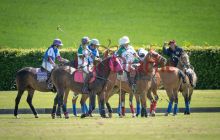 0021-Kathrin_Gralla-ZLG_2021 