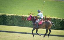 0023-Kathrin_Gralla-ZLG_2021 