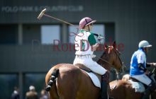 0026-Kathrin_Gralla-ZLG_2021 