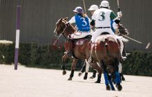 0044-Kathrin_Gralla-ZLG_2021 