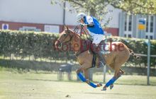 0045-Kathrin_Gralla-ZLG_2021 