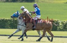 0046-Kathrin_Gralla-ZLG_2021 