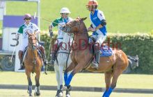 0049-Kathrin_Gralla-ZLG_2021 