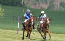 0078-Kathrin_Gralla-ZLG_2021 