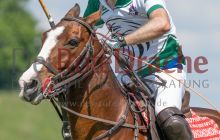 0083-Kathrin_Gralla-ZLG_2021 