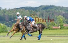 0088-Kathrin_Gralla-ZLG_2021 