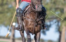 0024-Kathrin_Gralla-Argentina_2018 