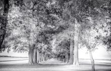 0025-Kathrin_Gralla-Argentina_2018 