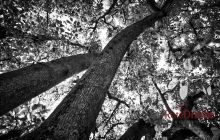 0027-Kathrin_Gralla-Argentina_2018 