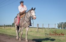 0069-Kathrin_Gralla-Argentina_2018 