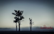 0085-Kathrin_Gralla-Argentina_2018 