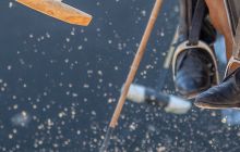 0063-Kathrin_Gralla-Ascona_2019_Day_3 