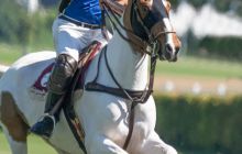 0008-Kathrin_Gralla-Gold_Cup_2020 