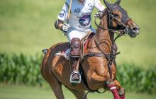 0033-Kathrin_Gralla-Gold_Cup_2020 