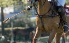 0058-Kathrin_Gralla-Gold_Cup_2020 