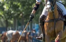 0060-Kathrin_Gralla-Gold_Cup_2020 