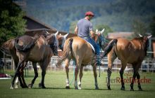0078-Kathrin_Gralla-Gold_Cup_2020 