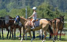 0082-Kathrin_Gralla-Gold_Cup_2020 