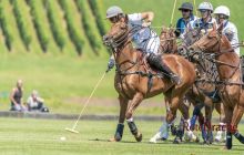 0087-Kathrin_Gralla-Gold_Cup_2020 