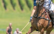 0088-Kathrin_Gralla-Gold_Cup_2020 