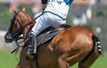 0090-Kathrin_Gralla-Gold_Cup_2020 