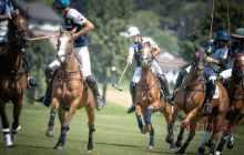 0100-Kathrin_Gralla-Gold_Cup_2020 