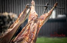 0108-Kathrin_Gralla-Gold_Cup_2020 