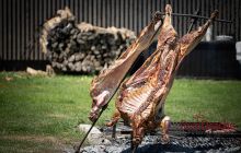 0109-Kathrin_Gralla-Gold_Cup_2020 