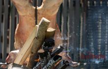 0115-Kathrin_Gralla-Gold_Cup_2020 