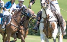 0140-Kathrin_Gralla-Gold_Cup_2020 