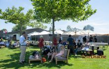 0176-Kathrin_Gralla-Gold_Cup_2020 
