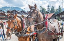 0015-Kathrin_Gralla-Gstaad_2019_Day_2 