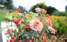 0086-Kathrin_Gralla-Gstaad_2019_Day_2 