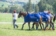 0031-Kathrin_Gralla-Gstaad_2019_Day_4 