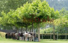 0011-Kathrin_Gralla-unbenannt 