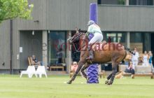 0026-Kathrin_Gralla-unbenannt 